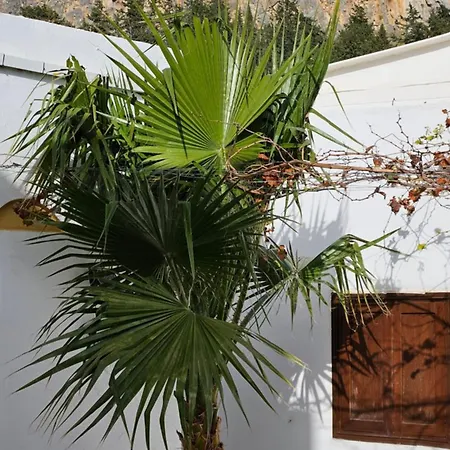 Astoria Holiday home *